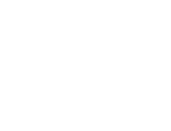 Estrategia Presencial